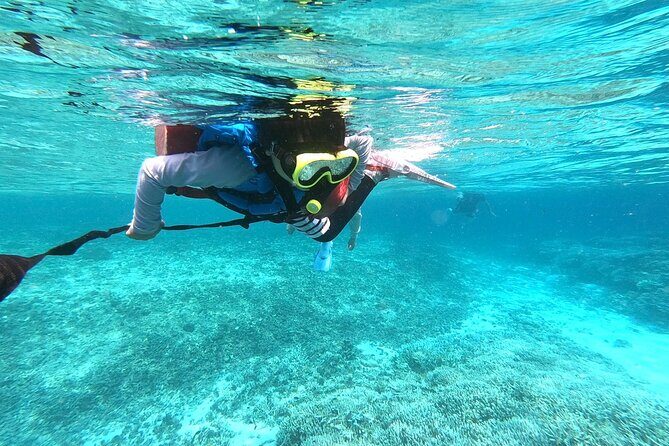 Okinawa Iriomote Snorkeling Tour at Coral Island - Who Will Love This Tour?