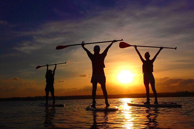 Okinawa Iriomote Sunset SUP or Canoe Tour in Iriomote Island - The Sum Up