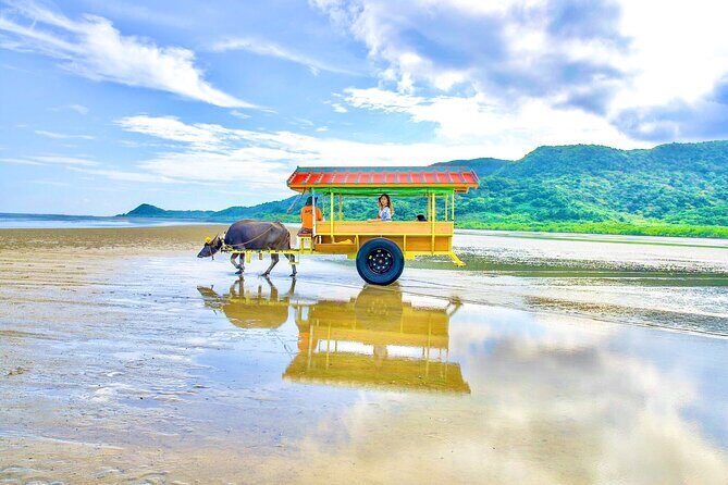 Okinawa Iriomote SUP or Canoe and Sightseeing in Yubujima island - Final Thoughts: Is it Worth It?