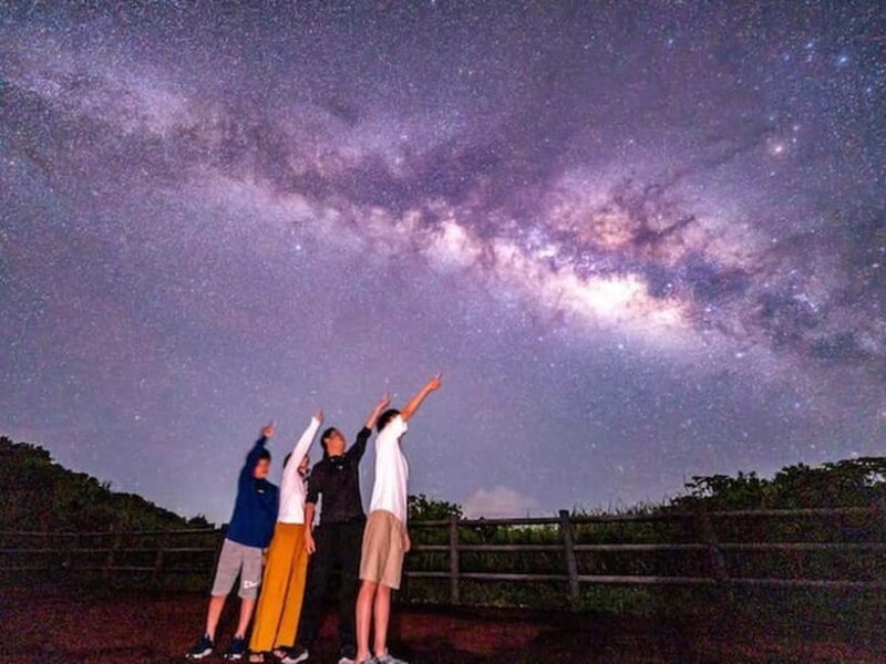 Okinawa Iriomotejima Night Adventure Tour - An In-Depth Look at the Iriomotejima Night Adventure Tour