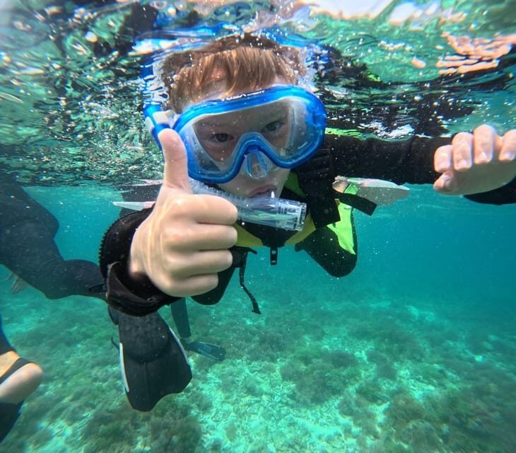 Okinawa Iriomotejima Night Adventure Tour - Value and Practicalities