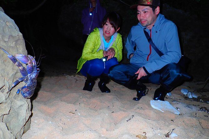 Okinawa Iriomotejima Night Adventure Tour - What Travelers Say