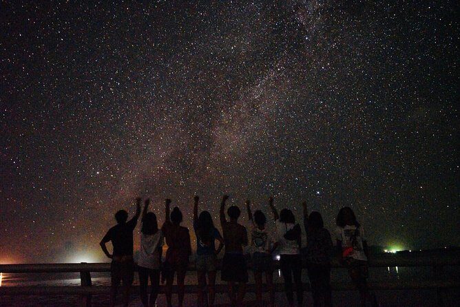 Okinawa Ishigaki Island Night Starry sky and Jungle night tour - Key Points