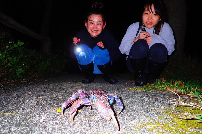 Okinawa Ishigaki Island Night Starry sky and Jungle night tour - The Experience in Detail