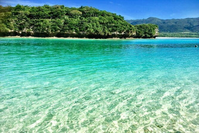 Okinawa Ishigaki Island Private Tour - Final Thoughts