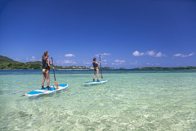 Okinawa Ishigaki Kabira Bay SUP or Canoe Tour - Summary: Who Will Love This Tour?
