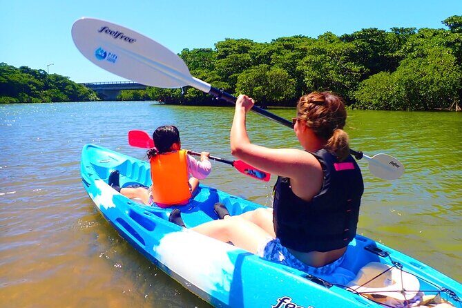 Okinawa Ishigaki Mangrove SUP or Canoe Tour - Key Points