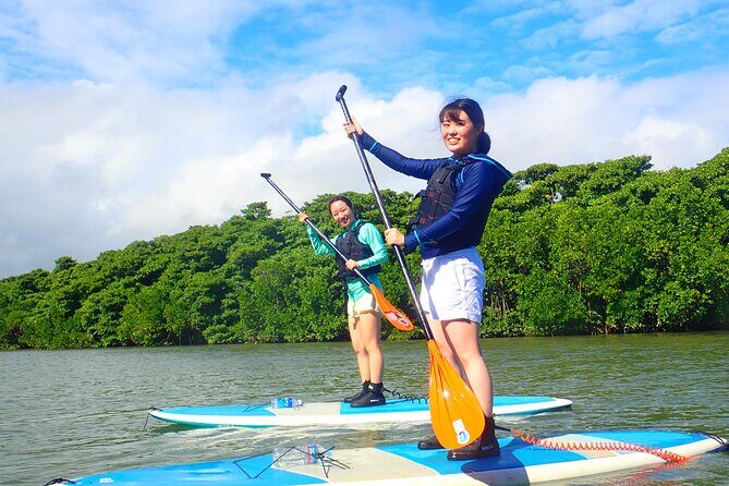 Okinawa Ishigaki Mangrove SUP or Canoe Tour - What Is the Okinawa Ishigaki Mangrove SUP or Canoe Tour?