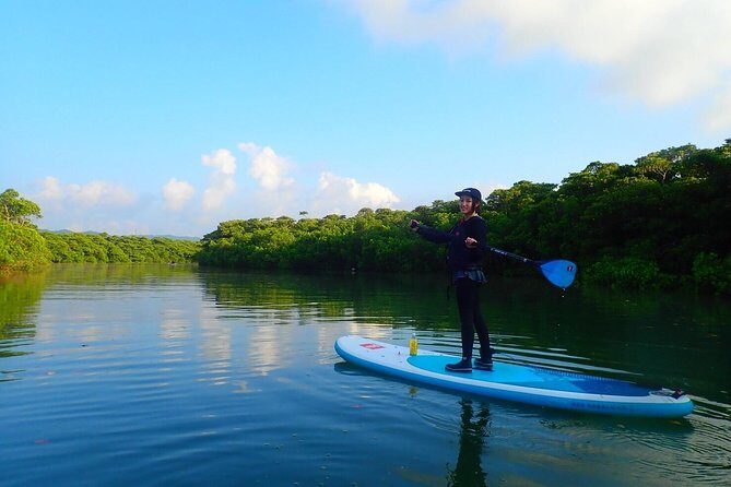 Okinawa Ishigaki Mangrove SUP or Canoe Tour - Why This Tour Is a Great Choice