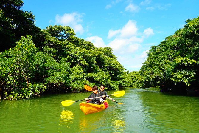 Okinawa Ishigaki Mangrove SUP or Canoe Tour - Practical Considerations