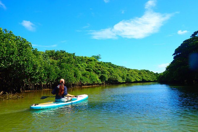 Okinawa Ishigaki Mangrove SUP or Canoe Tour - The Sum Up