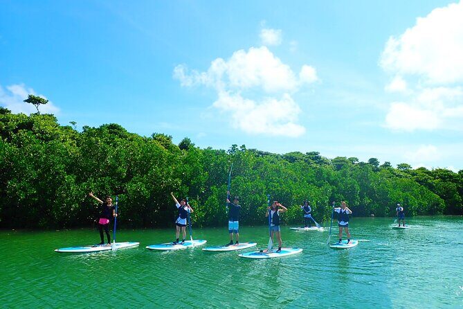 Okinawa Ishigaki Mangrove SUP or Canoe Tour - FAQs