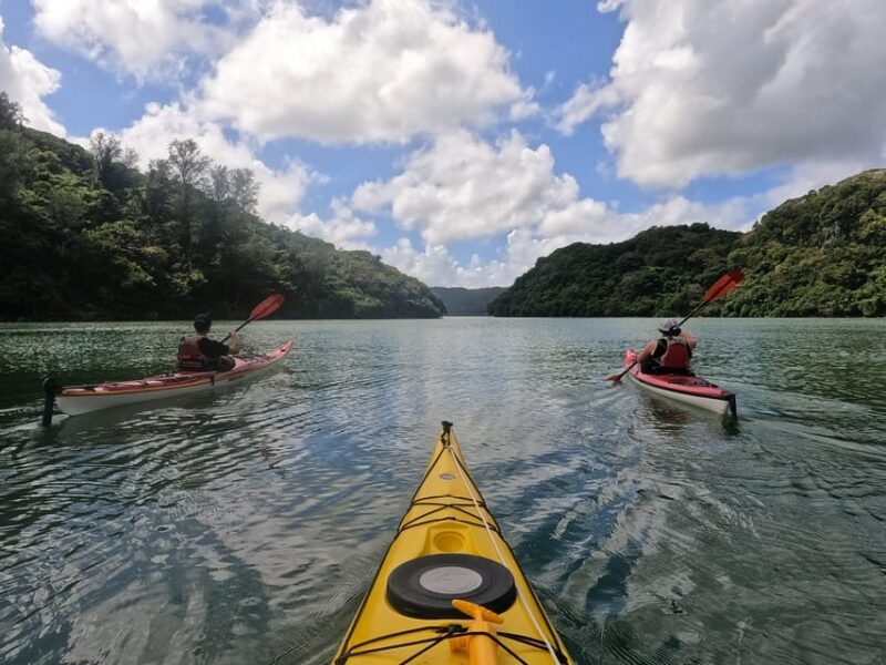 Okinawa: Kayak Mangroves & Ocean Native-English Private Tour - Discovering Okinawa’s Hidden Natural Wonders: A Review of the Kayak Mangroves & Ocean Private Tour