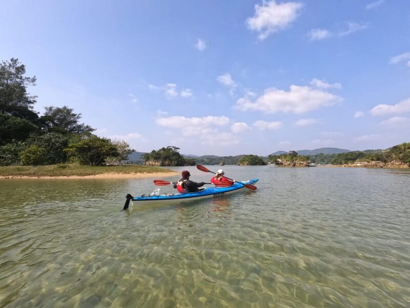 Okinawa: Kayak Mangroves & Ocean Native-English Private Tour - The Sum Up: Who Should Consider This Tour?
