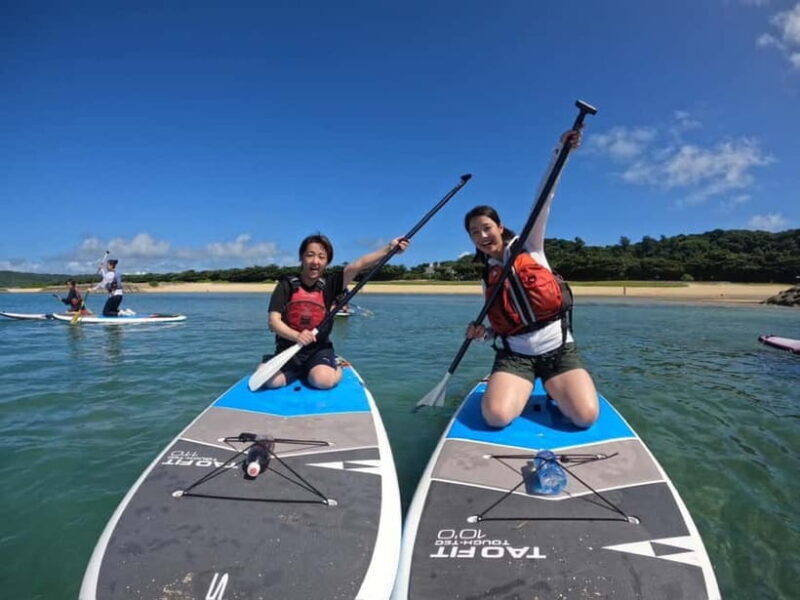Okinawa: Kayak or SUP Tour to Hamahiga Island - Key Points