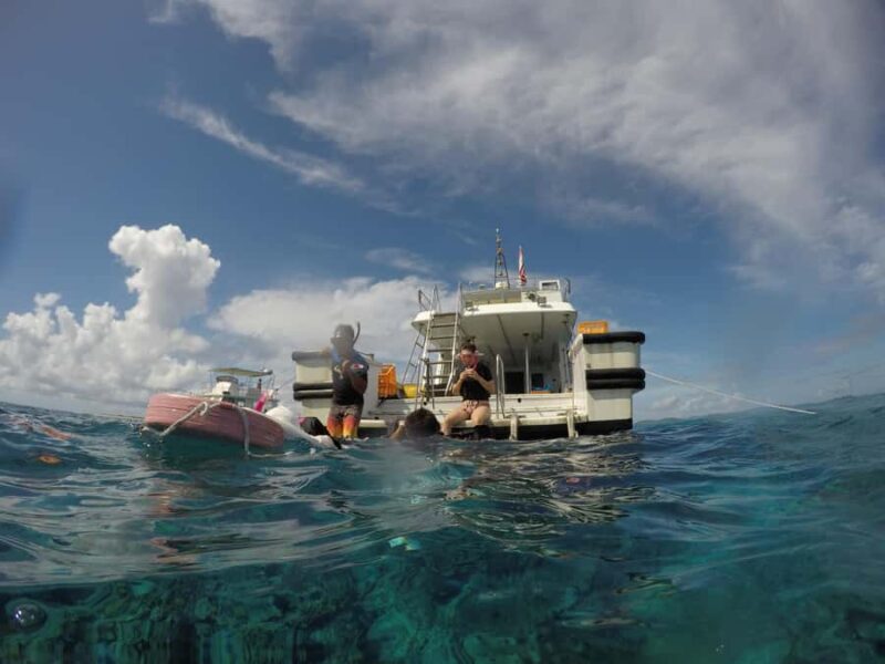 Okinawa : Kerama Whole Day Snorkeling Tour From Chatan/Naha - Introduction