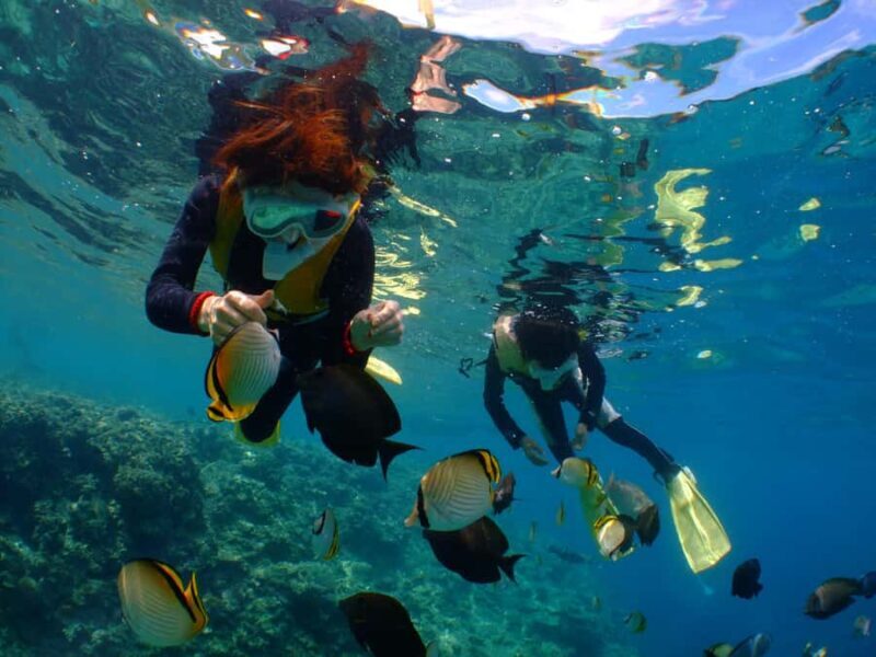 Okinawa : Kerama Whole Day Snorkeling Tour From Chatan/Naha - Key Points