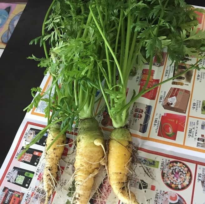 Okinawa: Market Tour and Cooking Class with a Chef - What Past Participants Say