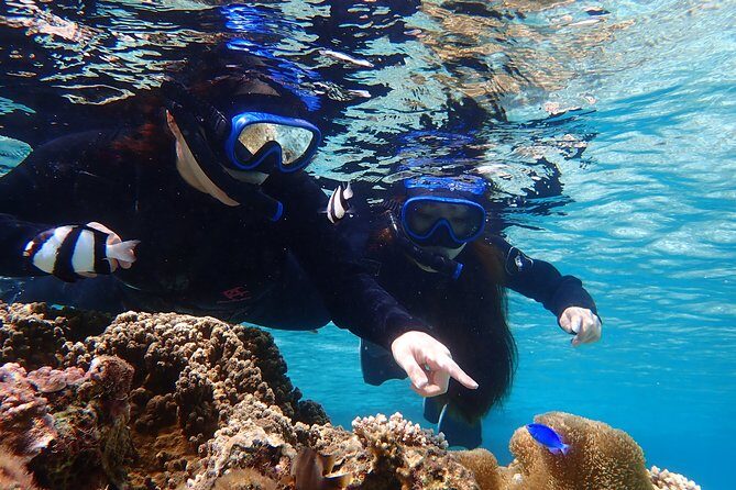 Okinawa Miyako 3set Beach SUP, Snorkeling,Pumpkin Cave,Canoeing - Who Should Consider This Tour?
