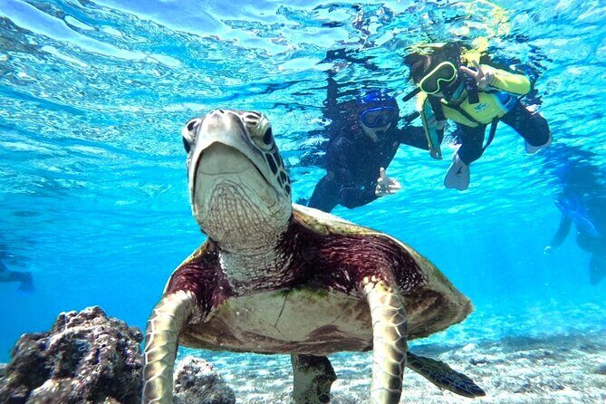 Okinawa Miyako Beach SUP or Canoe and sea turtle Snorkeling - The Value in Price and What It Includes