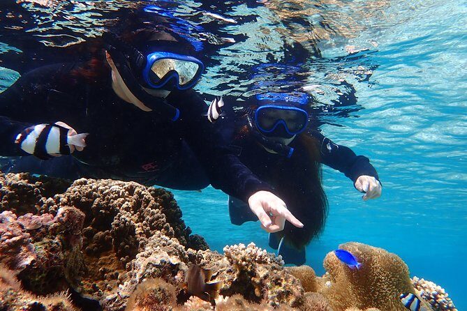 Okinawa Miyako Beach SUP or Canoe and sea turtle Snorkeling - Practical Tips for Participants