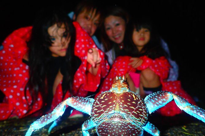 Okinawa Miyako Star gazing and subtropical jungle night tour - Who Should Consider This Tour?