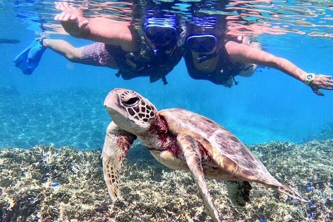 Okinawa Miyakojima 1 day Sea Turtle Snorkeling & Pumpkin Cave & Sea Kayak - Diving Into the Experience: What to Expect on the Tour