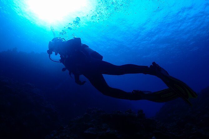 Okinawa Scuba Diving For Certified Divers (3 boat dives + Lunch) - Key Points