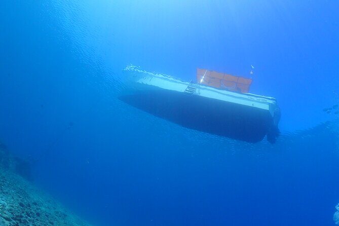 Okinawa Scuba Diving For Certified Divers (3 boat dives + Lunch) - Diving at a Glance: The Sites and Their Appeal