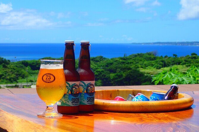 Okinawa Scuba Diving For Certified Divers (3 boat dives + Lunch) - Who Will Love This Tour?
