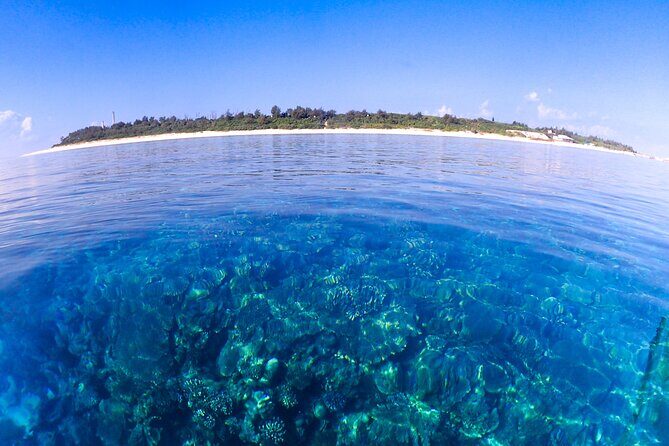 Okinawa Scuba Diving For Certified Divers (3 boat dives + Lunch) - Practical Tips for Participants
