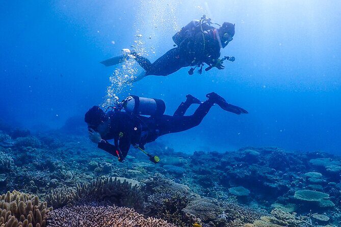 Okinawa Scuba Diving For Certified Divers (3 boat dives + Lunch) - Final Thoughts