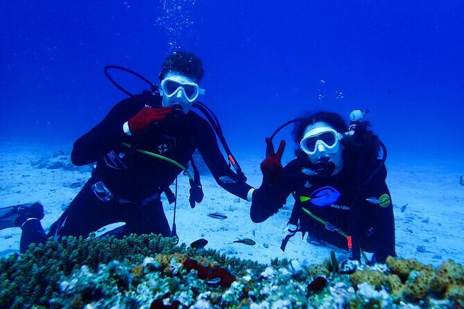 Okinawa: Scuba Diving Tour with Wagyu Lunch and English guide - Key Points