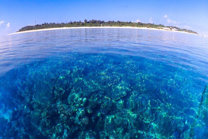 Okinawa: Scuba Diving Tour with Wagyu Lunch and English guide - Post-Lunch & Return