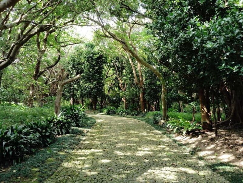 Okinawa: Shikinaen Royal Garden Guided Tour UNESCO Site - What Makes Shikinaen Special?