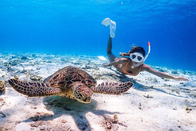 Okinawa Snorkeling Tour Experience - Key Points