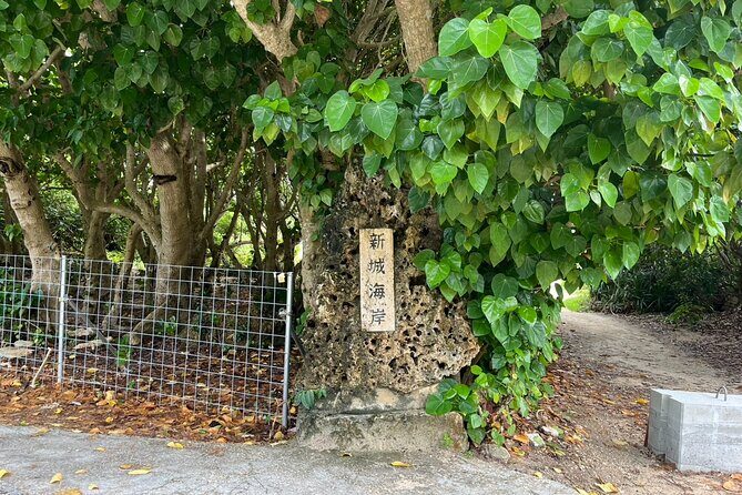 Okinawa Snorkeling Tour Experience - The Itinerary: What to Expect