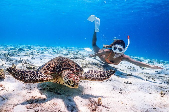 Okinawa Snorkeling Tour Experience - Practical Details and Considerations