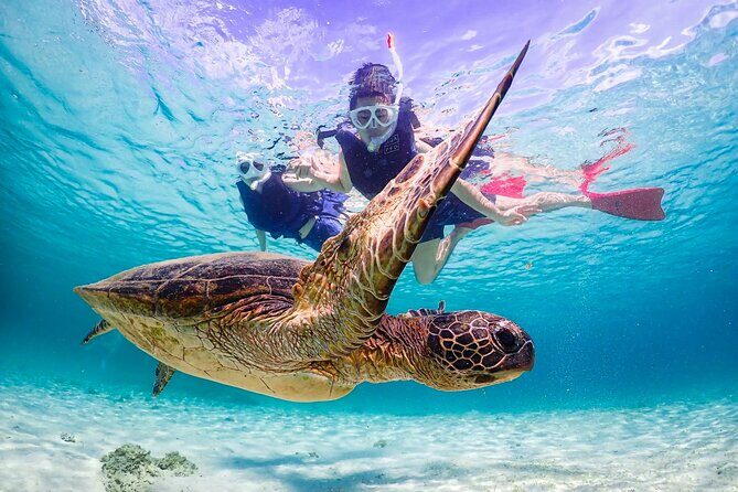 Okinawa Snorkeling Tour Experience - Final Thoughts: Is It Worth It?