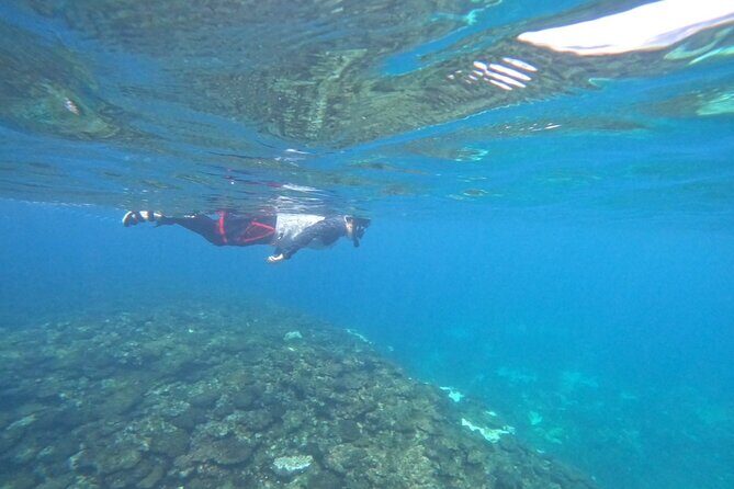 Okinawa West Coast 3-Hour Paddle-boarding adventures - Authentic Experiences and Traveler Feedback