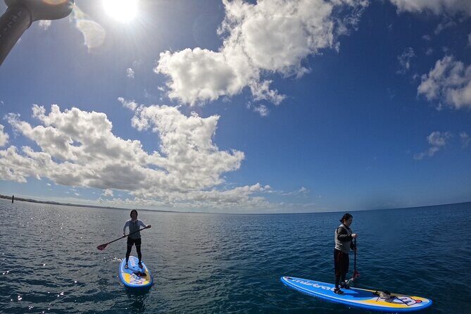 Okinawa West Coast 3-Hour Paddle-boarding adventures - FAQ