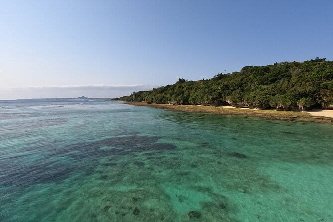Okinawa's Gorgeous Beach & Snorkel Tour: Private & Customised - Key Points
