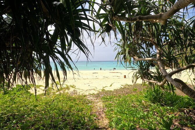 Okinawa's Gorgeous Beach & Snorkel Tour: Private & Customised - Who Should Consider This Tour?