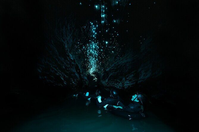 Okohua Glowworm Cave Adventure - Who Should Consider This Tour?