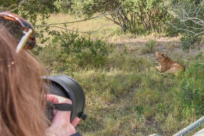 Ol Pejeta, Sweet Waters Chimpanzee Sanctuary and lion tracking safari - Introduction: A Close-Up Look at an Authentic Kenyan Safari Experience