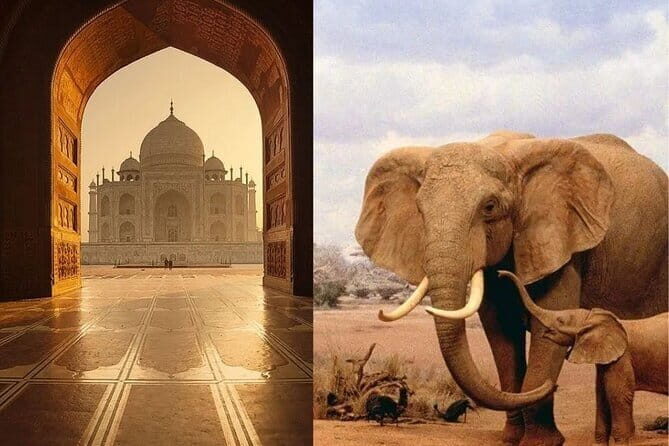 Old Delhi heritage walk with a local - Frequently Asked Questions