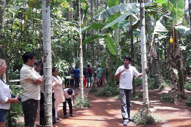 Old Goa Churches, Temples & Spice Plantation With "Goan" Lunch - The Sum Up