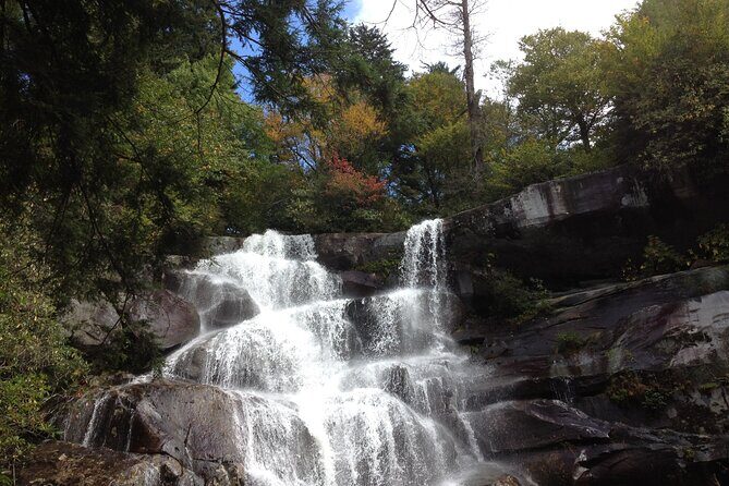 Old Growth Forest Cascade - An In-Depth Look at the Old Growth Forest Cascade Tour