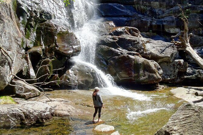 Old Growth Forest Cascade - Final Thoughts