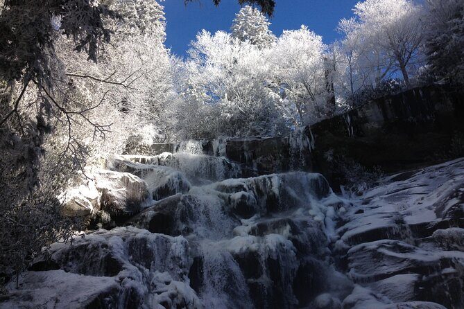 Old Growth Forest Cascade - FAQ